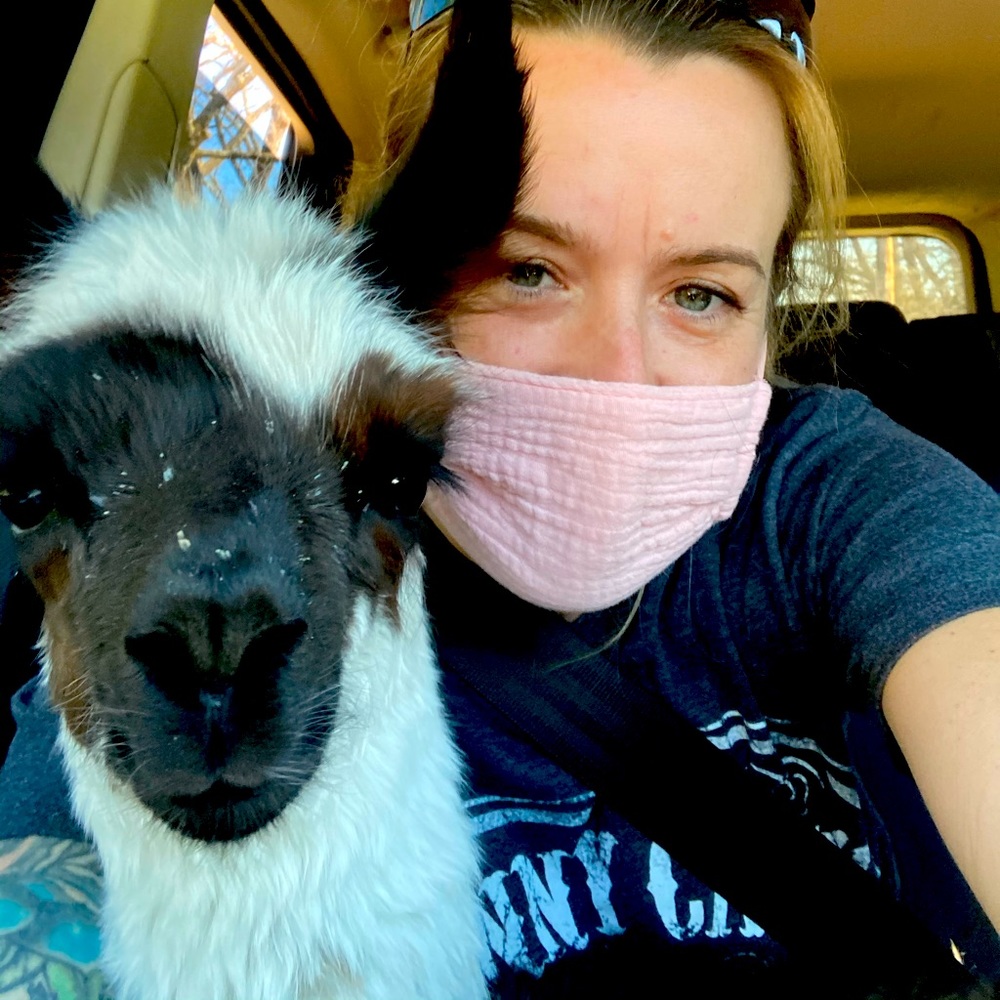 Meet your Posher, Lisa